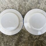 Set of 2 plates with floral motif