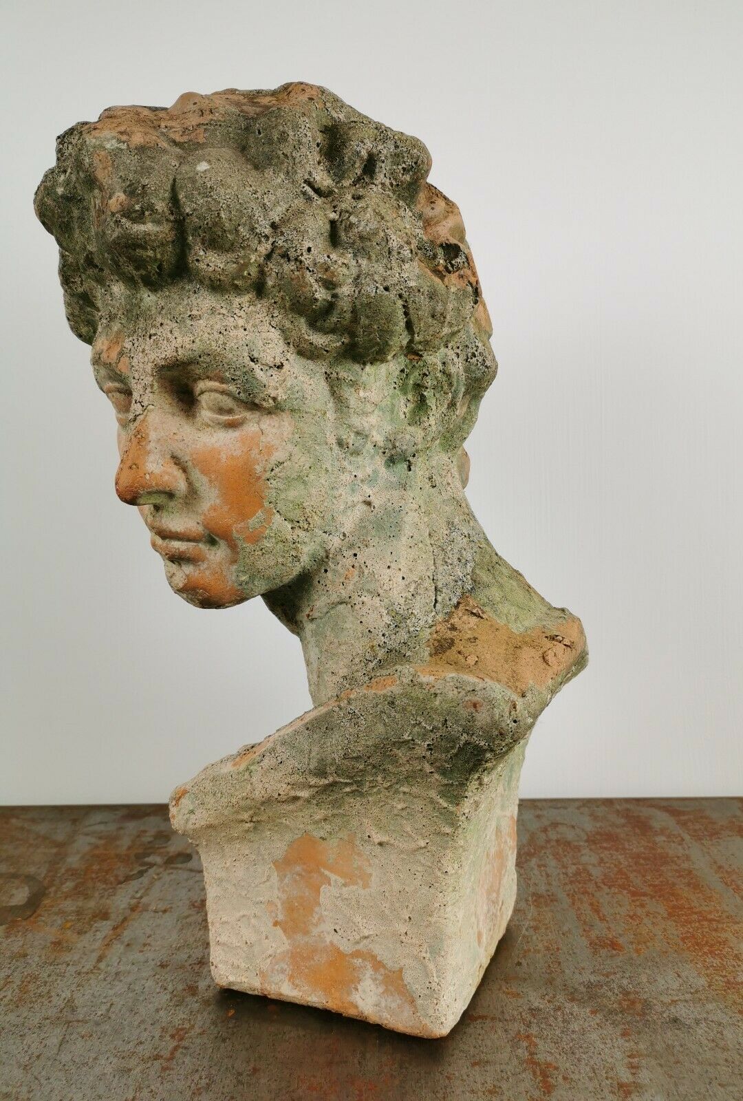 Antique 19th/20th century substantial terracotta Roman Michelangelo David Bust