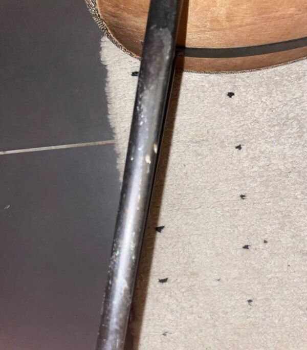 Chaise Jacques Hitier années 60