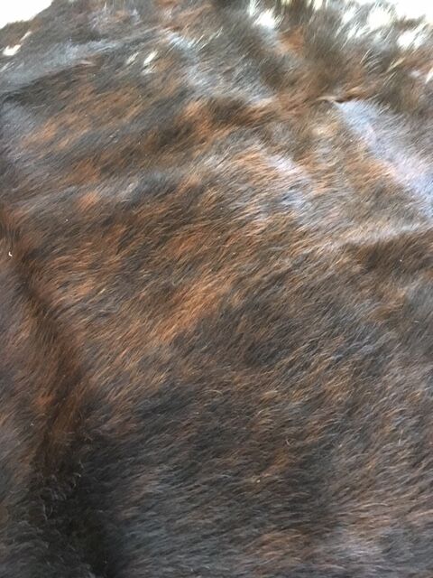 Cow skin
