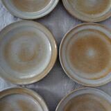 6 flat plates in sandstone from the marais france