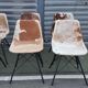 Sete of 6 cow haid chairs