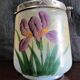 Art Nouveau Opal Glass Biscuit Jar: Hand-Painted Iris, French Candy Jar