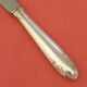 Set of 11 knives handle silver metal stainless steel blade