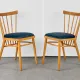 Set of 4 Dining Chairs, by František Jirák, 1960s, Czechoslovakia