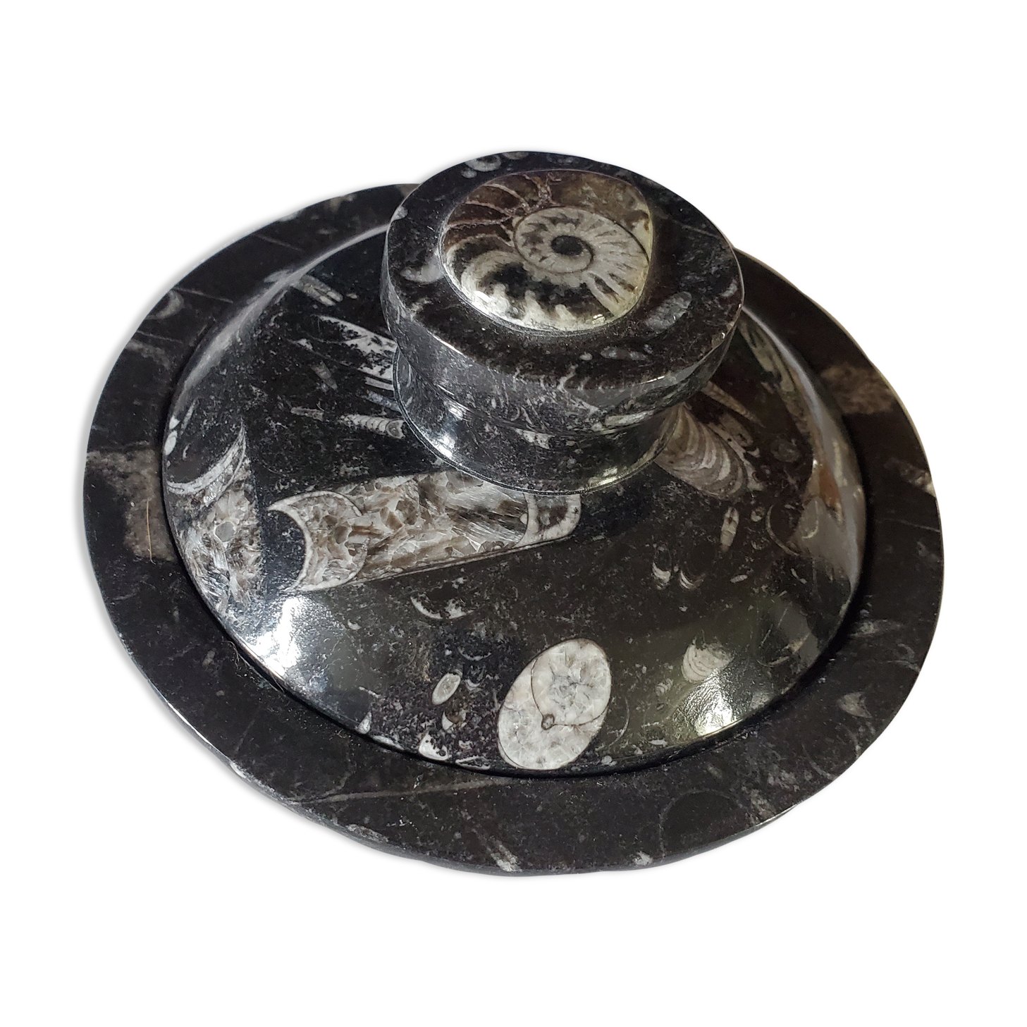 Fossilized marble box