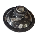 Fossilized marble box