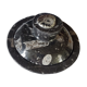 Fossilized marble box