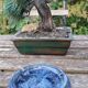Vintage glazed terracotta ashtray by Eugène Alaphilippe (Verneuil-