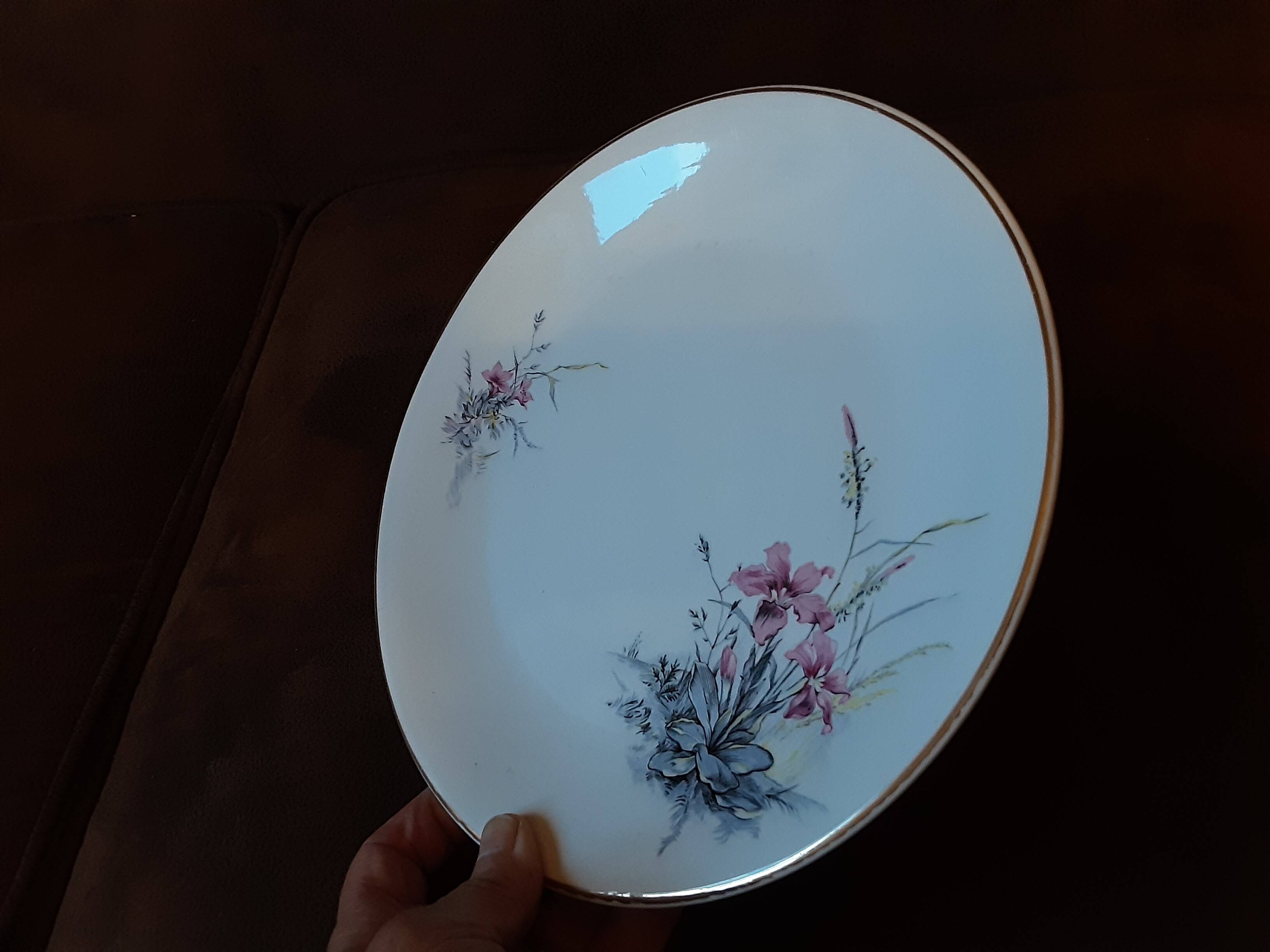 Set of 9 Digoin Sarreguemines dinner plates