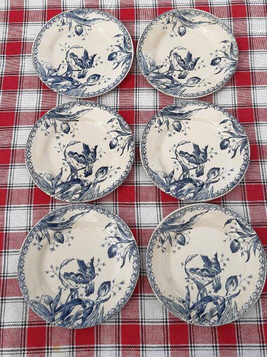 Set of 6 antique ironstone plates
