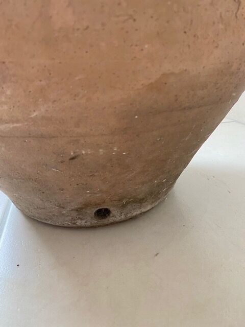 Terracotta pot
