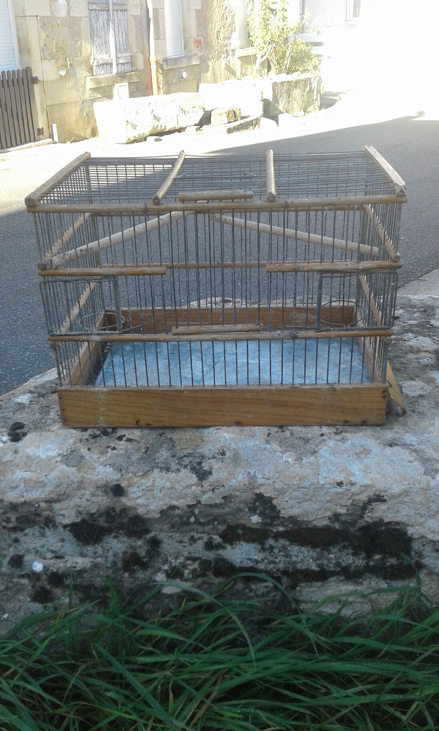 Old canary cage