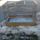 Ancienne cage a canaris