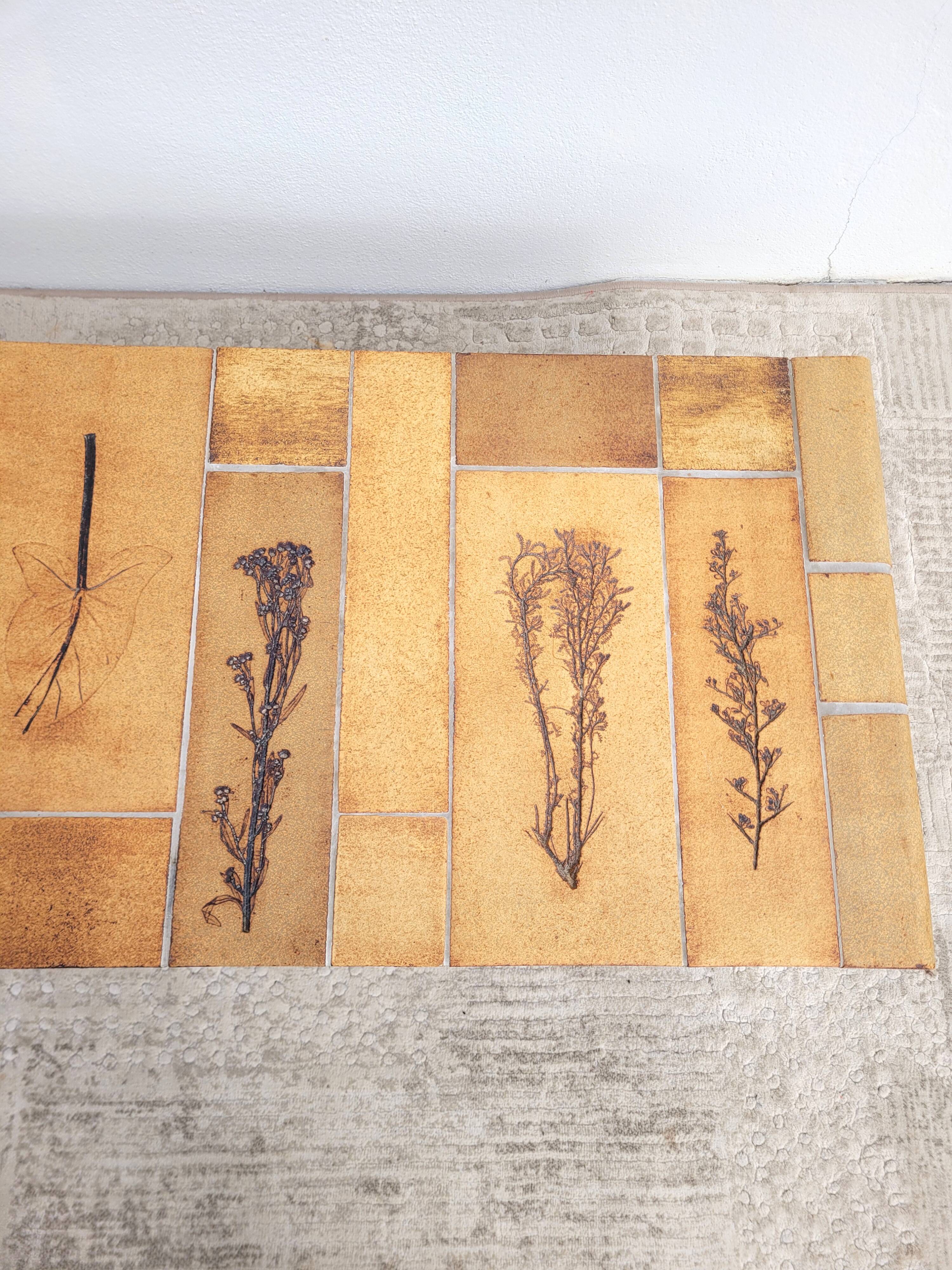 Coffee table Roger Capron Herbarium 1960