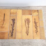 Coffee table Roger Capron Herbarium 1960