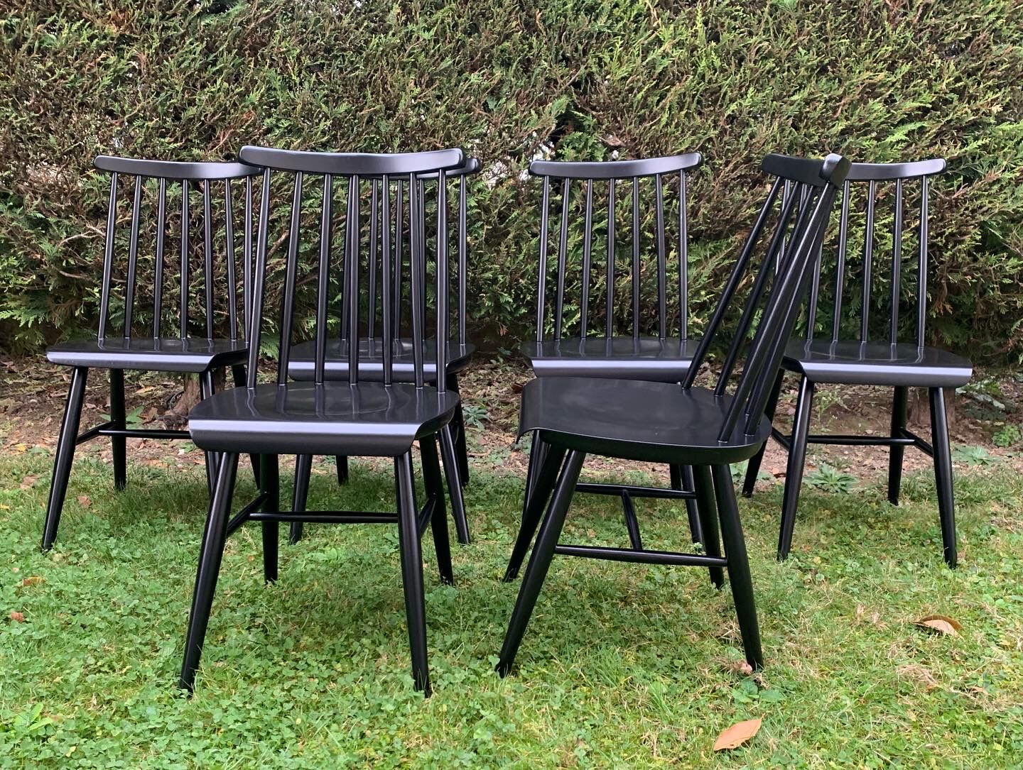 Suite of 6 Fanett chairs by Ilmari Tapiovaara