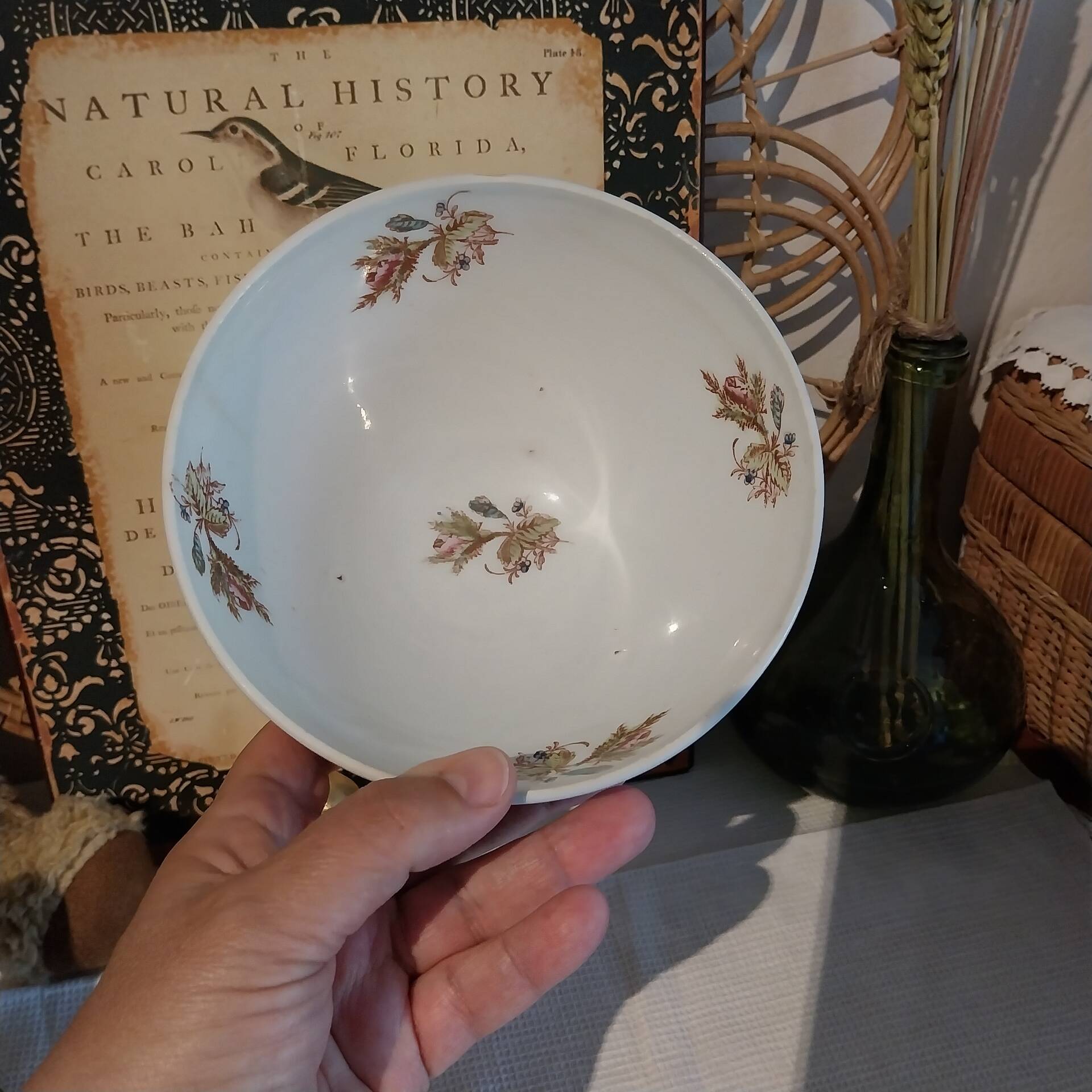Old large bowl from grandmother Lunéville