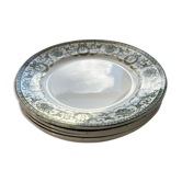 Lot de 7 assiettes St Amand