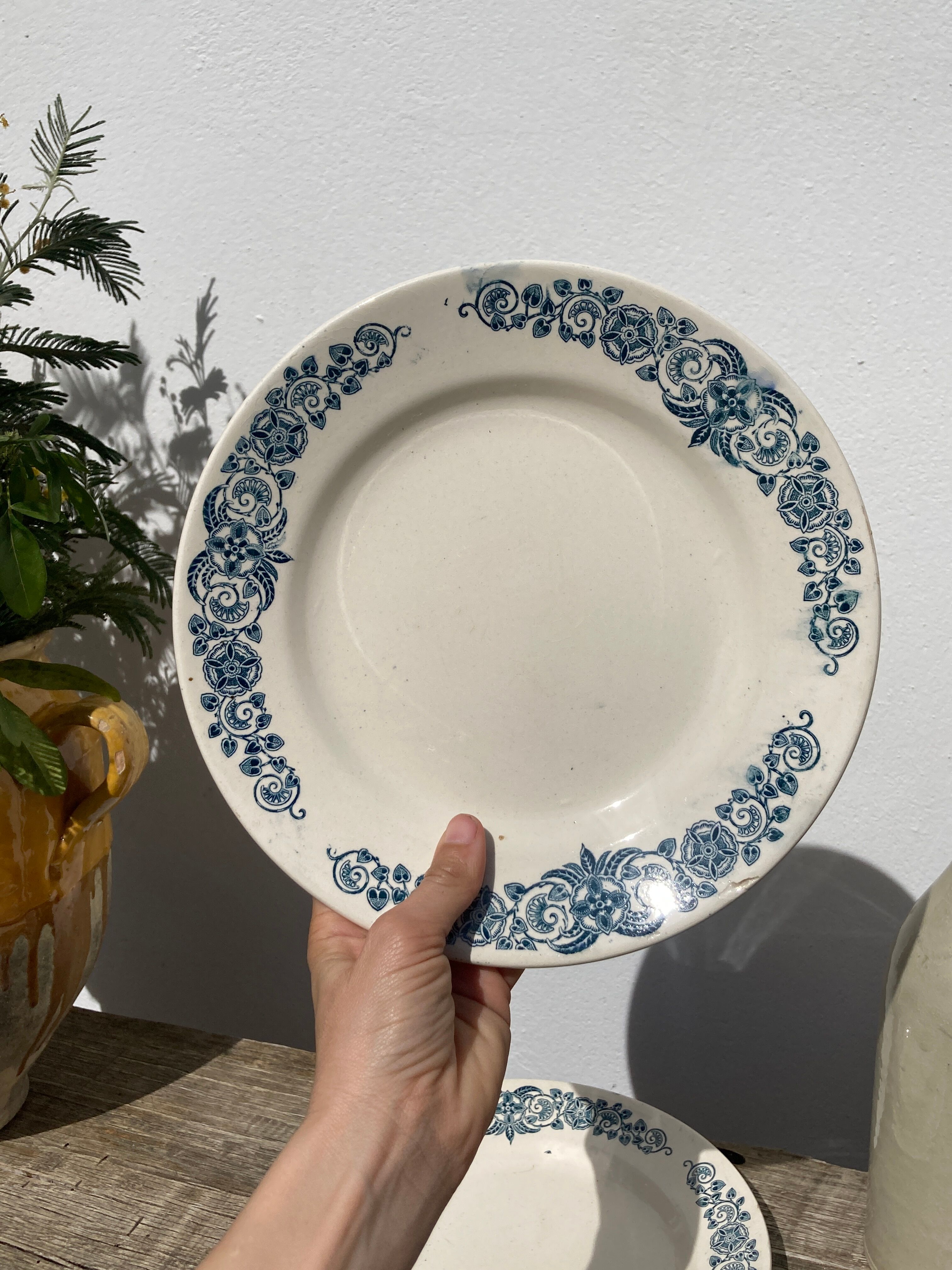 Set of 8 flat plates iron earth model Longchamp Alésia