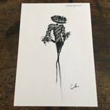 Illustration and press fashion photography "Pierre Balmain"