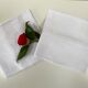 Set of 2 monogram napkins BG and GJ