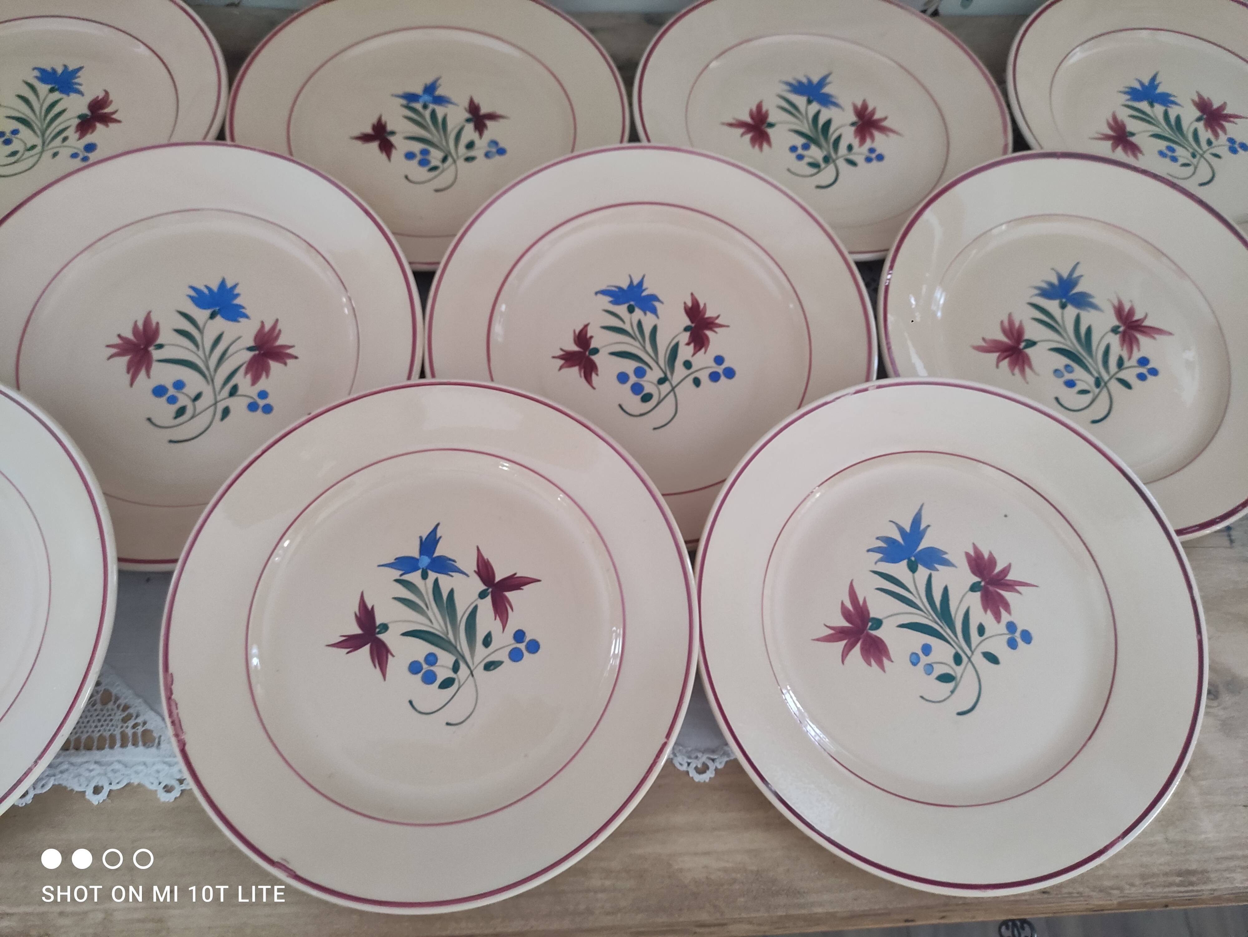 Set of 12 flat plates 30s earthenware K&G Lunéville model Denise