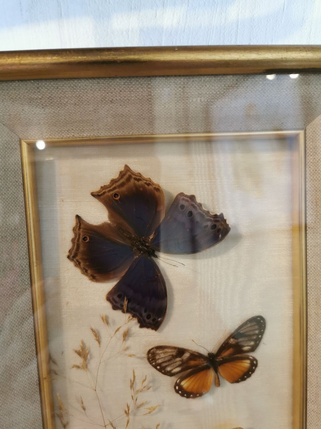 Vintage butterfly frame