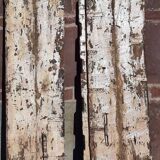 "Ethnic" double door, antique (19th/early 20th century)