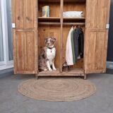 Renovated Parisian wardrobe