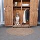 Renovated Parisian wardrobe
