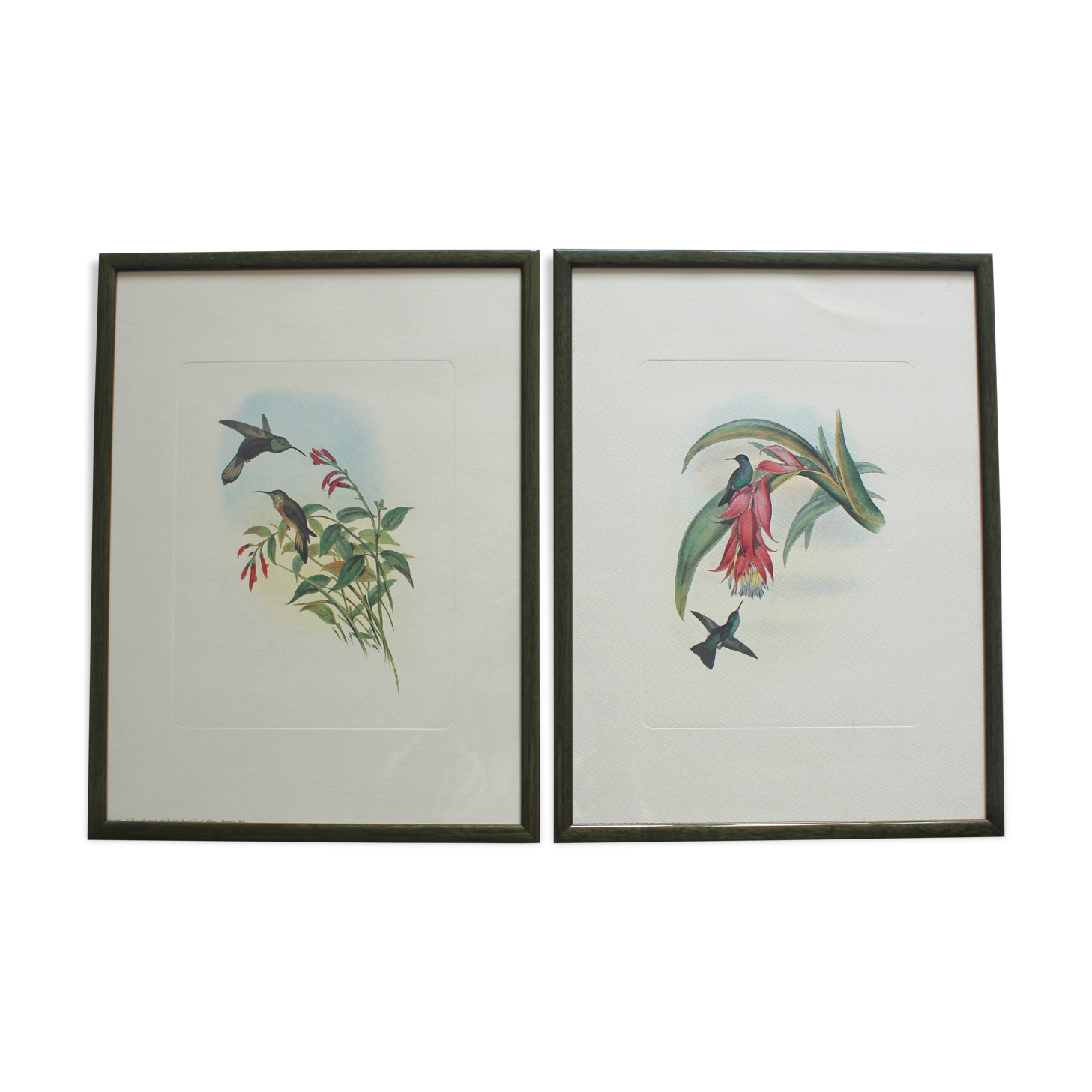 2 framed bird lithographs, vintage watercolor posters