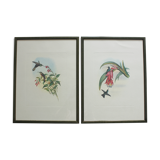 2 framed bird lithographs, vintage watercolor posters