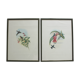 2 lithographies d'oiseaux encadrées, affiches aquarelles vintage