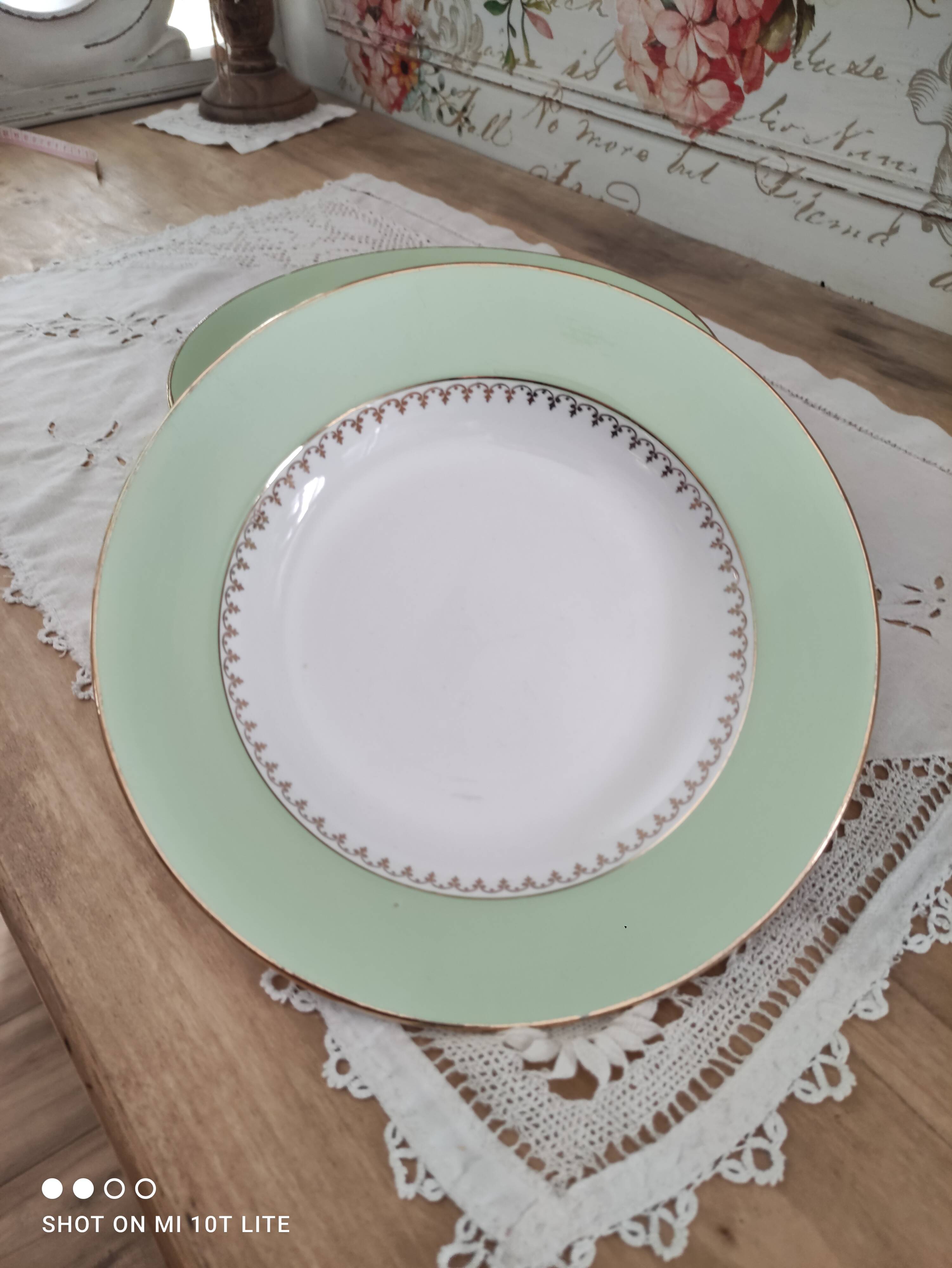 Lot de 6 assiettes creuses L'Amandinoise marli vert d'eau et frise dorée
