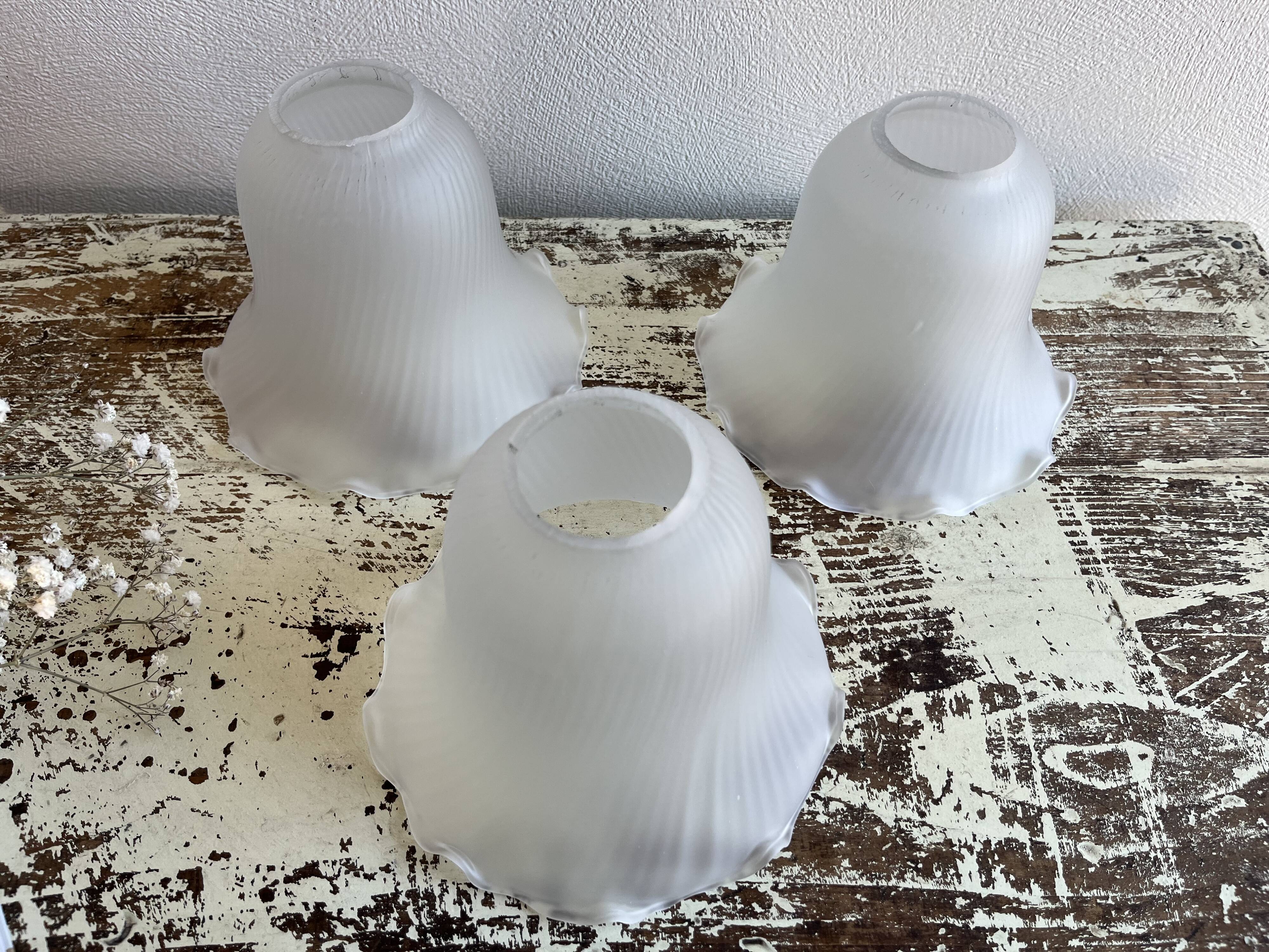 Old glass tulip globes