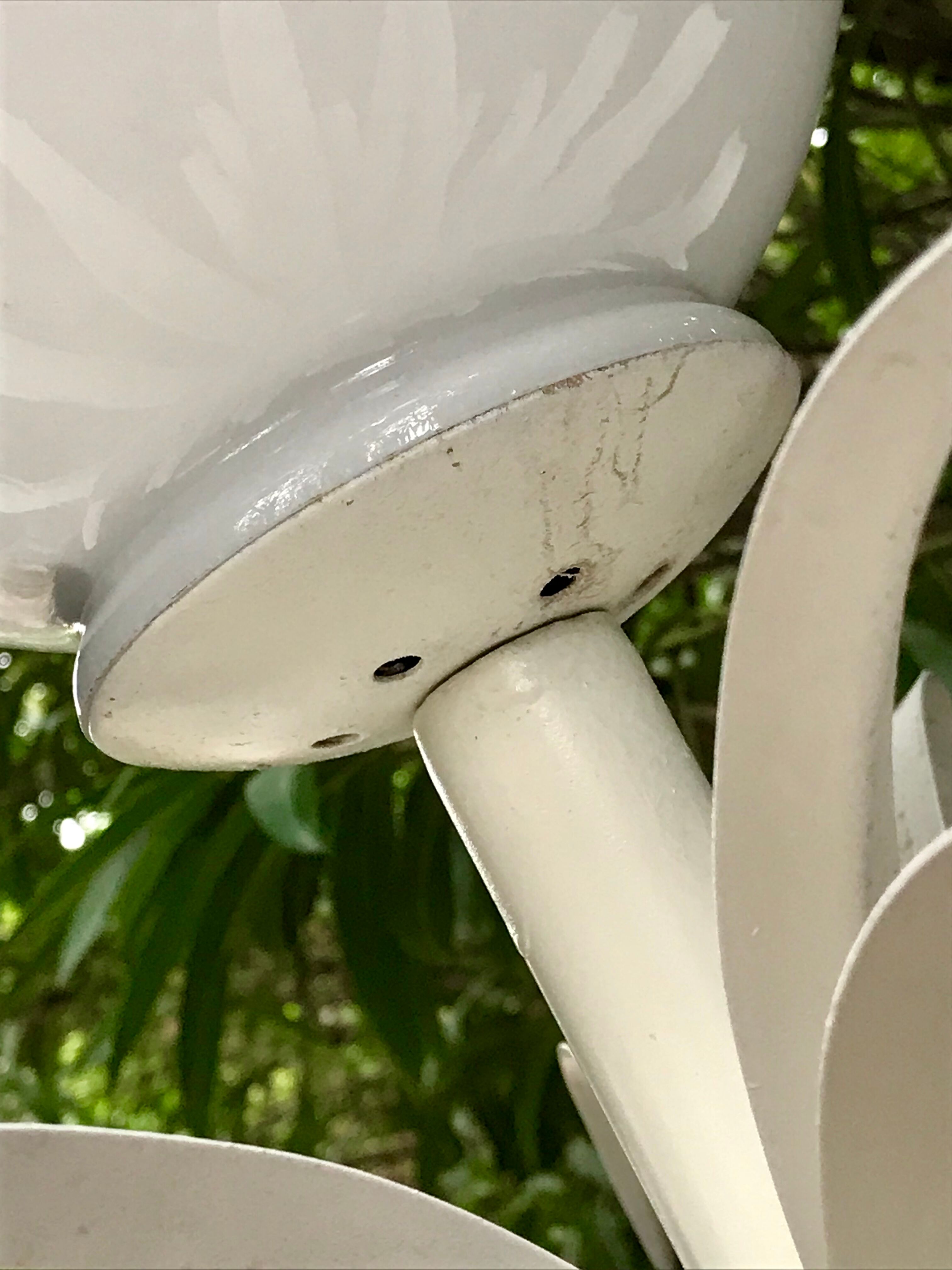 Palm lamppost by Sergio Terzani