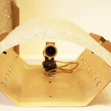 Pair of perspex and wood appliques 1960