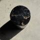 Small side table in black petrified wood with stripes and beige bottom H28.