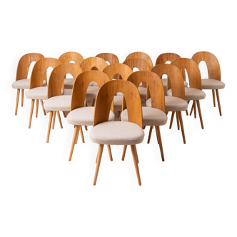 Ensemble de 16 chaises de salle à manger du milieu du siècle par A.Šuman, rembourrage personnalisable disponible