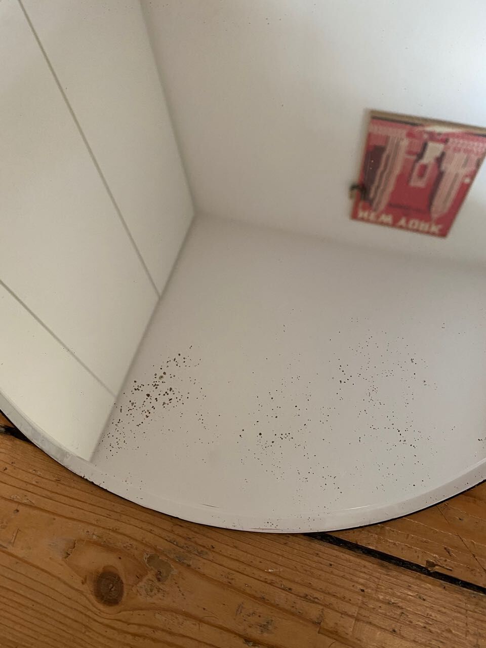 Oval bevelled mirror - 72x51cm