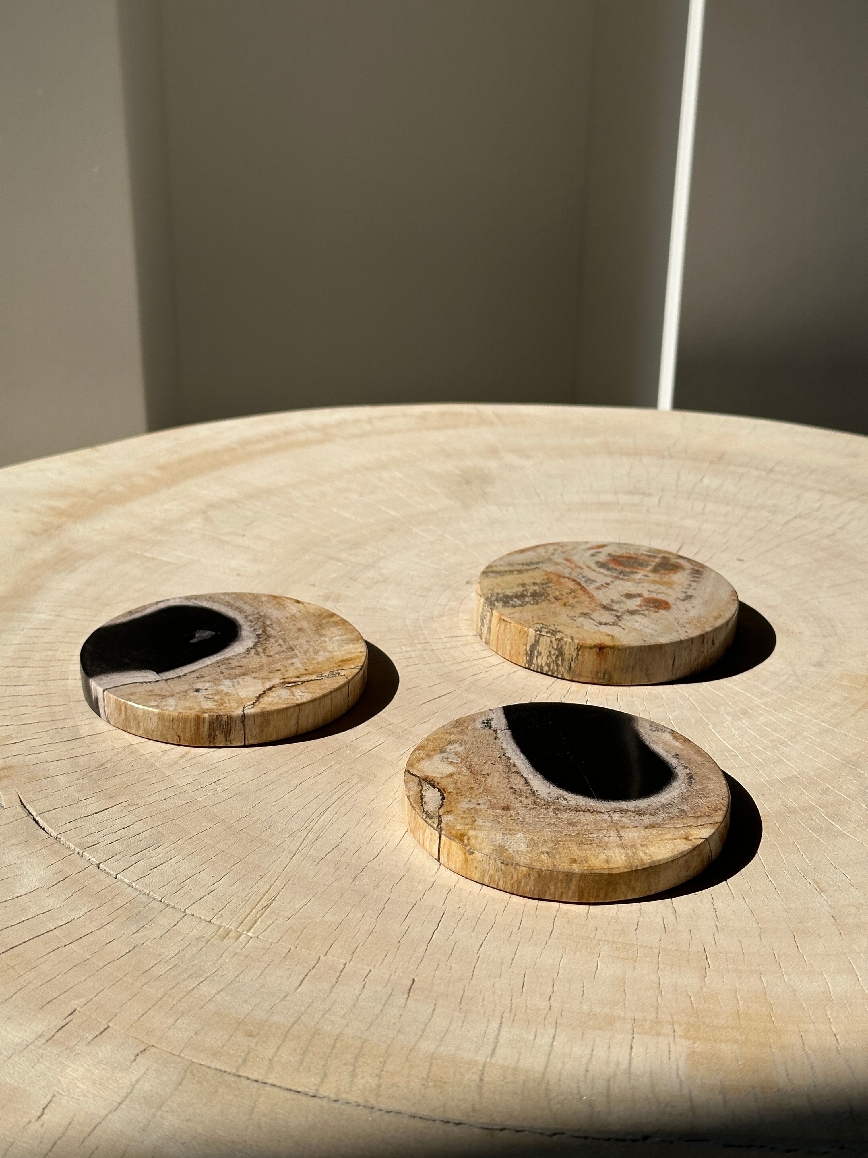 Set of 3 fossilized wooden coasters (clear)