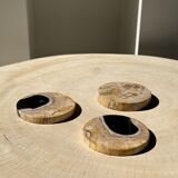 Set of 3 fossilized wooden coasters (clear)
