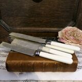 Box of 5 dessert knives in Sheffield steel with imitation bone handle.