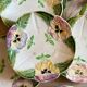 Set of 10 antique slip plates with flower decorations