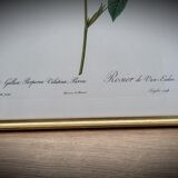 Lithograph under frame Rosier Van Eeden