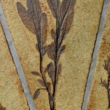 Oval coffee table signed R. Capron, collection les Herbiers, Vallauris – 1960