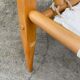 Vintage safari chair 1960s Denmark with canvas minimalist design