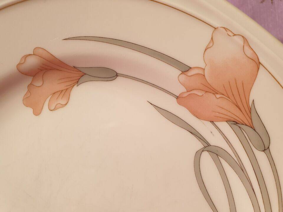 Series of 6 Schonwald Germany flat plates Art Nouveau decor