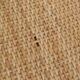 Rattan and wicker console, two drawers